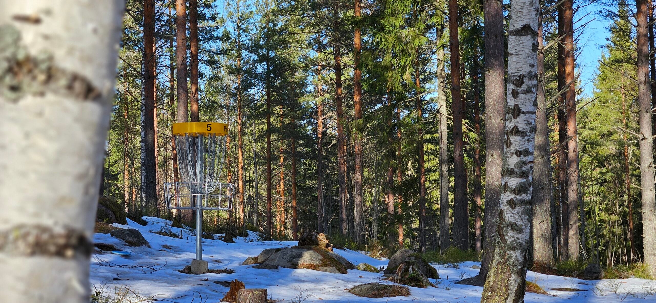 Frisbeegolfrata Pappilanniemen frisbeegolfpuisto Mäntyharjussa